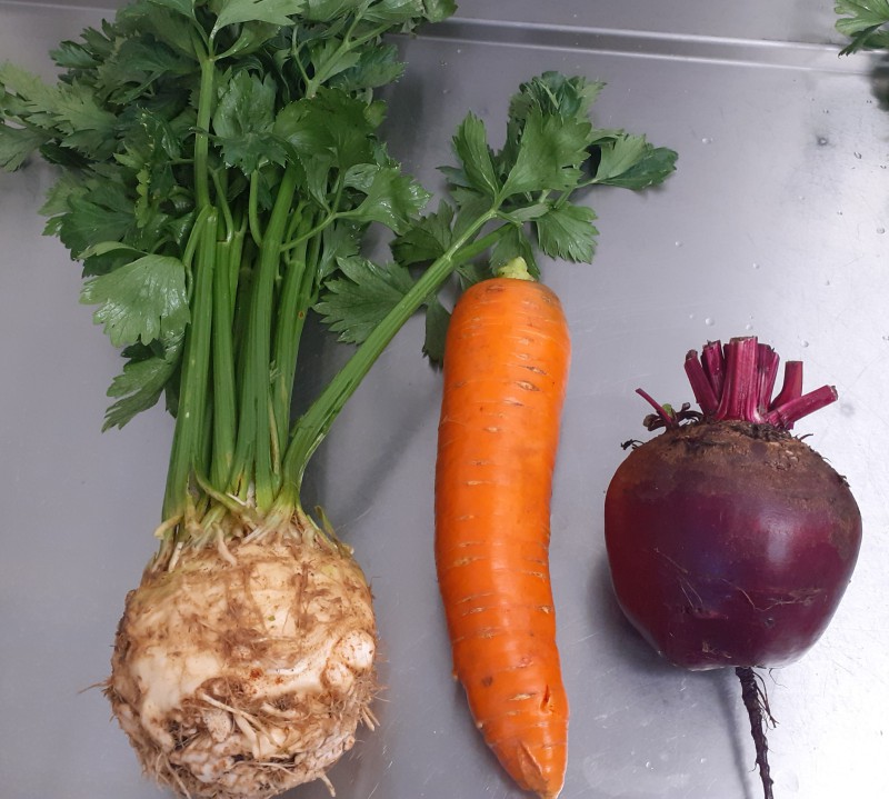 Küchenleitung (m/w/d) für Schule, Kindergarten und Krippe